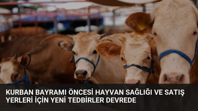 Kurban Bayramı Öncesi Hayvan Sağlığı ve Satış Yerleri İçin Yeni Tedbirler Devrede