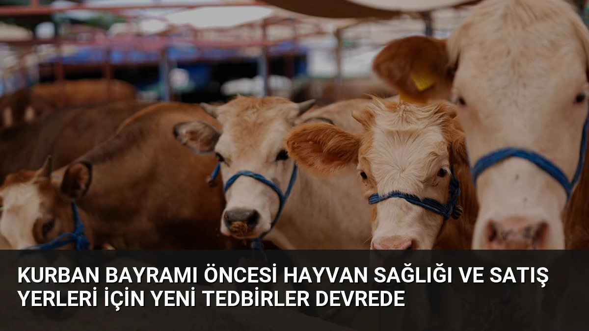 Kurban Bayramı Öncesi Hayvan Sağlığı ve Satış Yerleri İçin Yeni Tedbirler Devrede