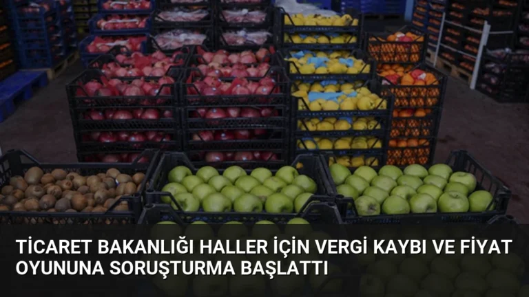 Ticaret Bakanlığı Haller İçin Vergi Kaybı ve Fiyat Oyununa Soruşturma Başlattı
