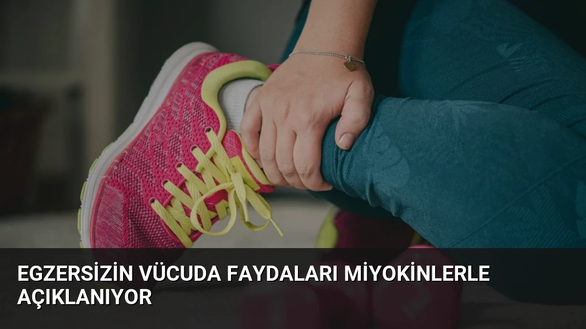 Egzersizin Vücuda Faydaları Miyokinlerle Açıklanıyor