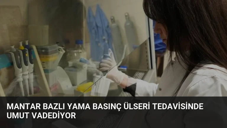 Mantar Bazlı Yama Basınç Ülseri Tedavisinde Umut Vadediyor