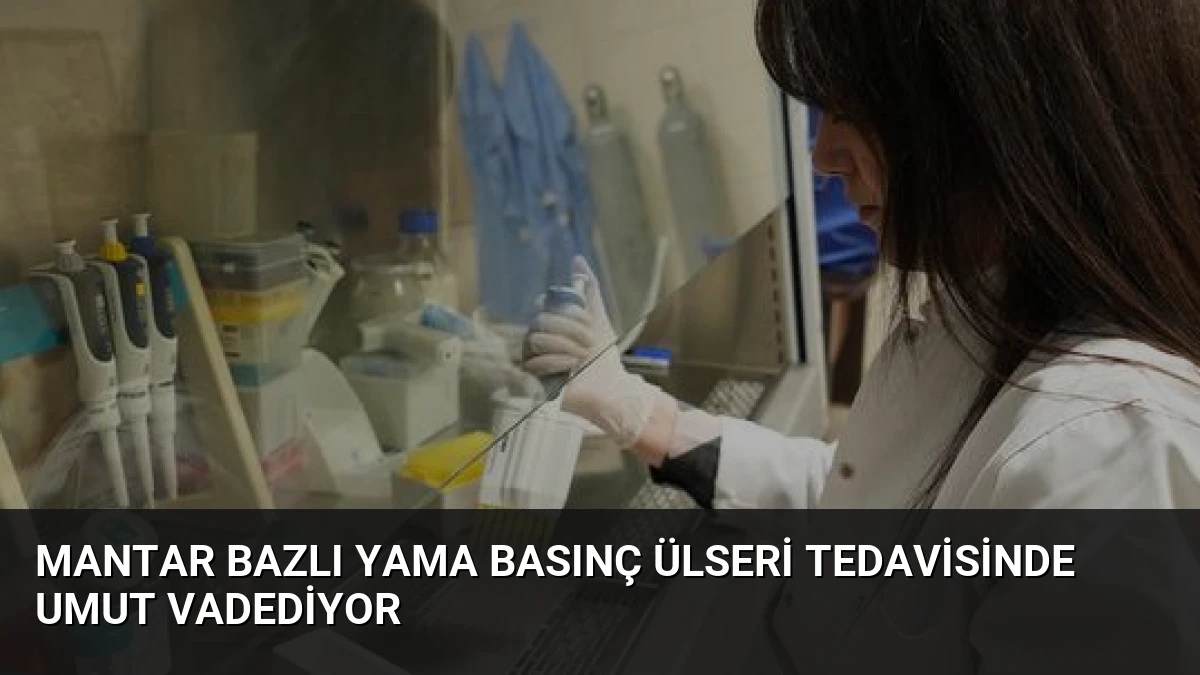 Mantar Bazlı Yama Basınç Ülseri Tedavisinde Umut Vadediyor