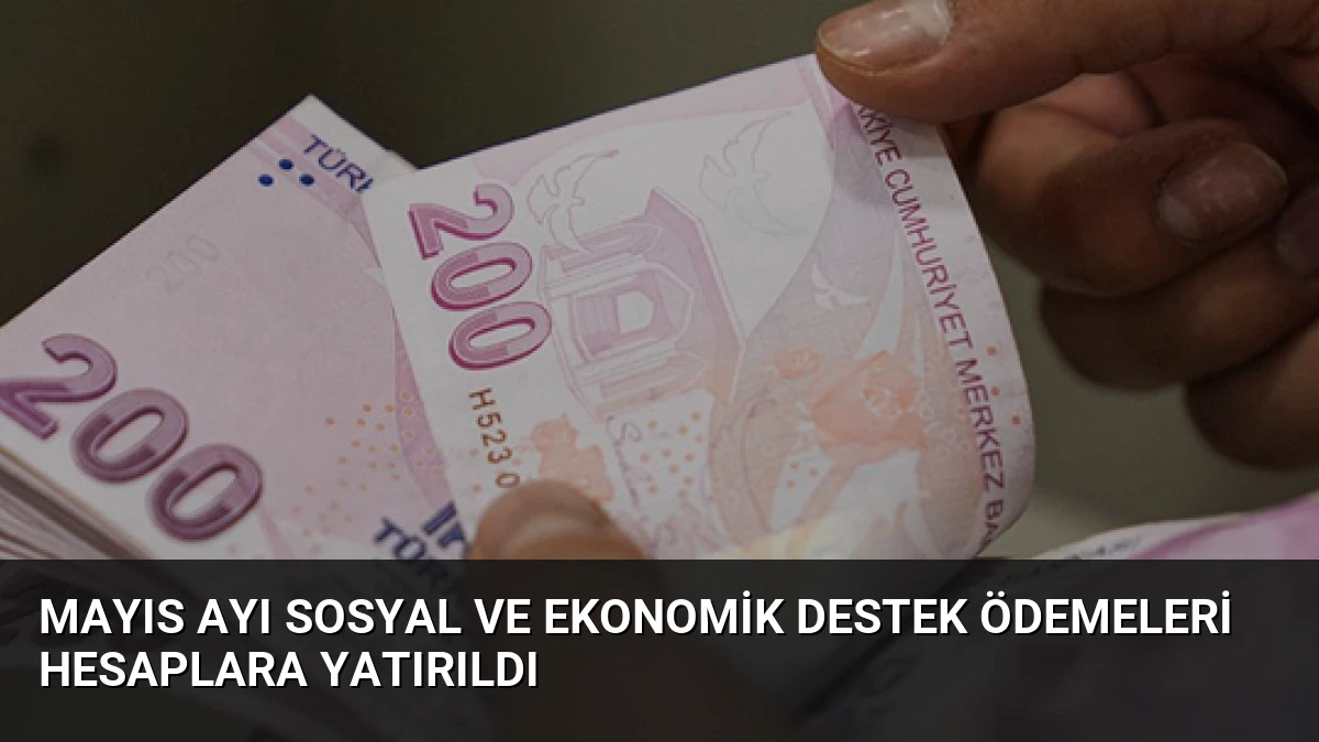 Mayıs Ayı Sosyal ve Ekonomik Destek Ödemeleri Hesaplara Yatırıldı