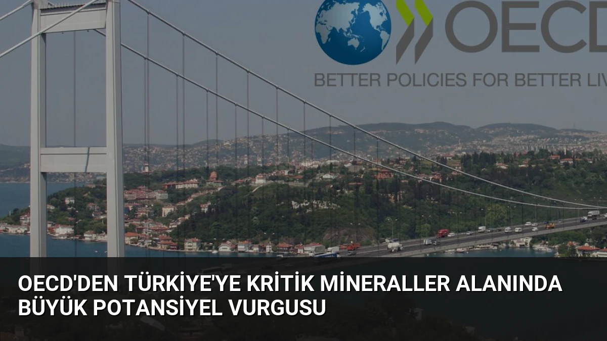 OECD’den Türkiye’ye Kritik Mineraller Alanında Büyük Potansiyel Vurgusu