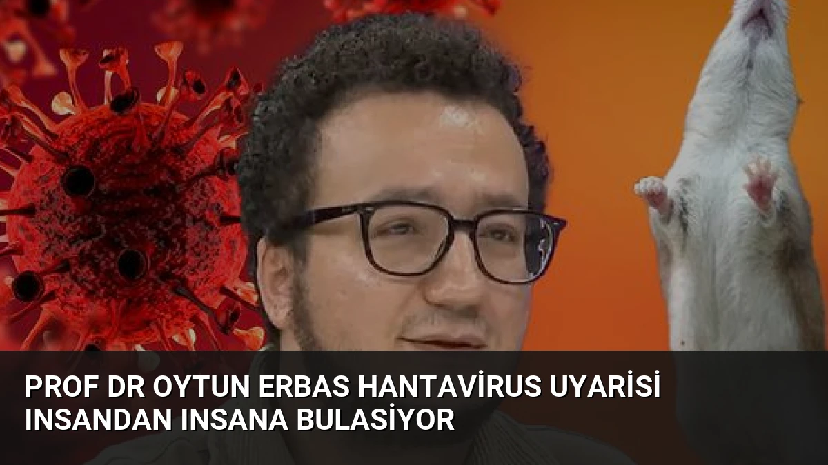 Prof Dr Oytun Erbas Hantavirus Uyarisi Insandan Insana Bulasiyor