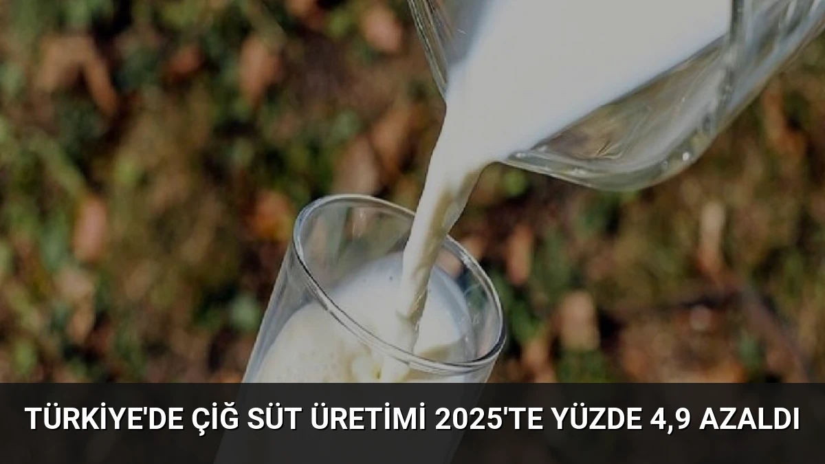 Türkiye’de Çiğ Süt Üretimi 2025’te Yüzde 4,9 Azaldı