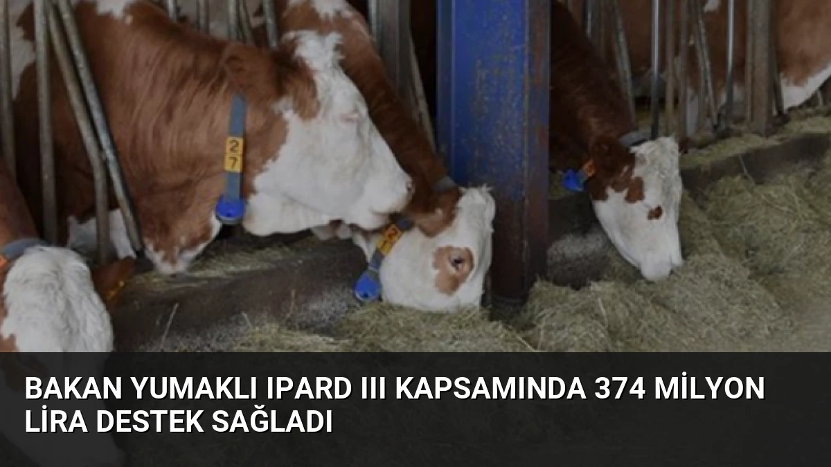 Bakan Yumaklı IPARD III kapsamında 374 milyon lira destek sağladı