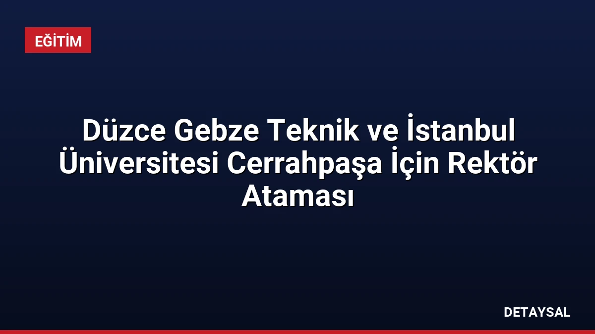 Düzce Gebze Teknik ve İstanbul Üniversitesi Cerrahpaşa İçin Rektör Ataması