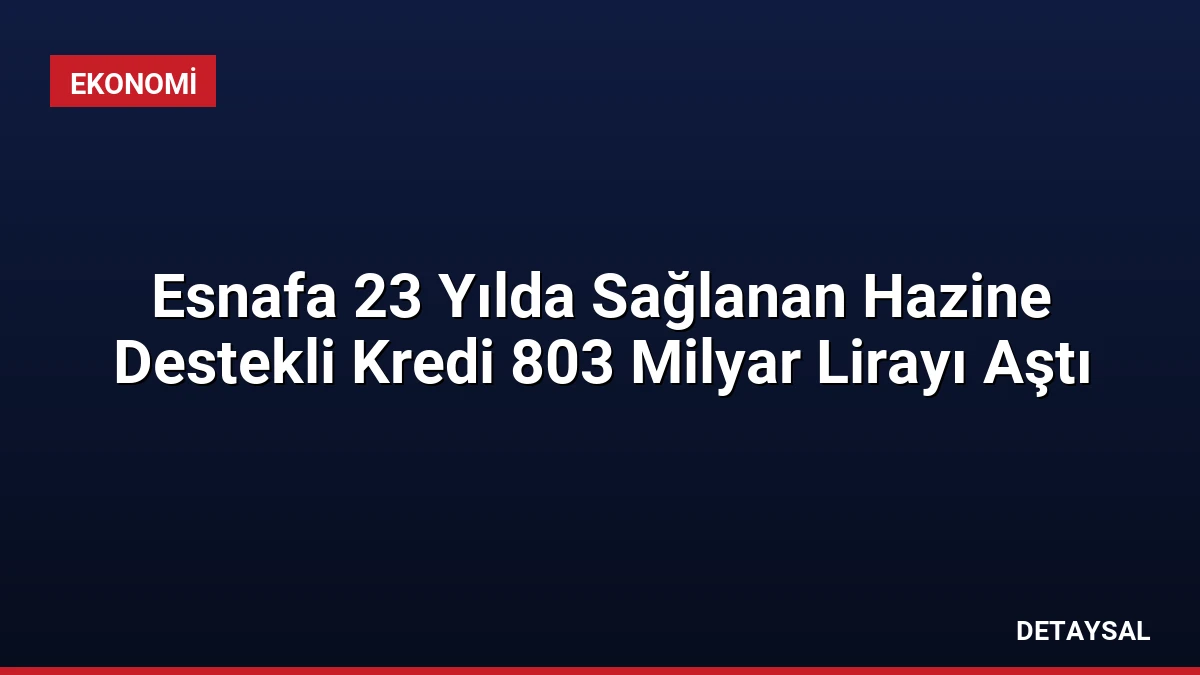 Esnafa 23 Yılda Sağlanan Hazine Destekli Kredi 803 Milyar Lirayı Aştı
