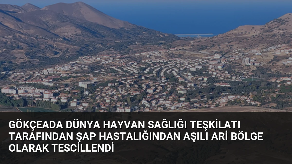 Gökçeada Dünya Hayvan Sağlığı Teşkilatı Tarafından Şap Hastalığından Aşılı Ari Bölge Olarak Tescillendi