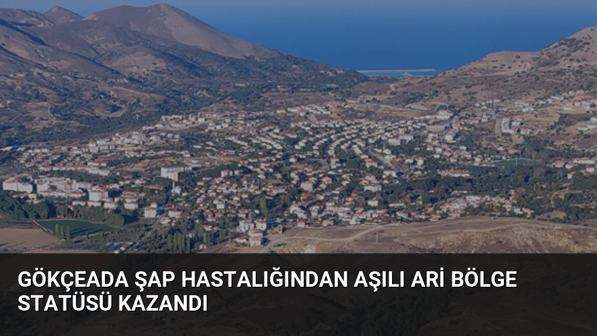 Gökçeada Şap Hastalığından Aşılı Ari Bölge Statüsü Kazandı