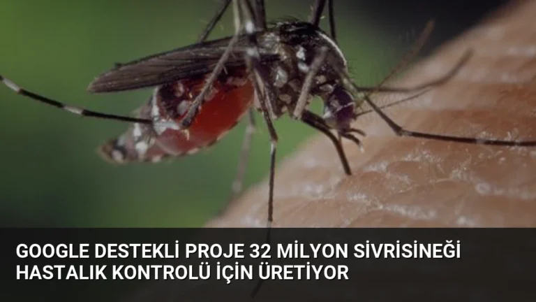 Google Destekli Proje 32 Milyon Sivrisineği Hastalık Kontrolü İçin Üretiyor