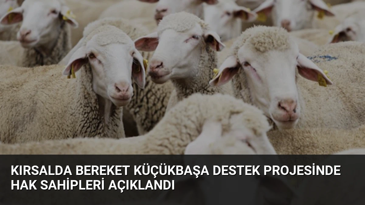 Kırsalda Bereket Küçükbaşa Destek Projesinde Hak Sahipleri Açıklandı