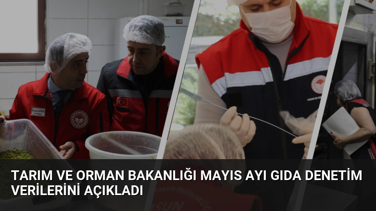 Tarım ve Orman Bakanlığı Mayıs Ayı Gıda Denetim Verilerini Açıkladı