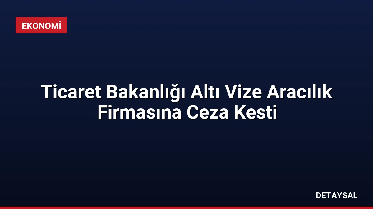 Ticaret Bakanlığı Altı Vize Aracılık Firmasına Ceza Kesti