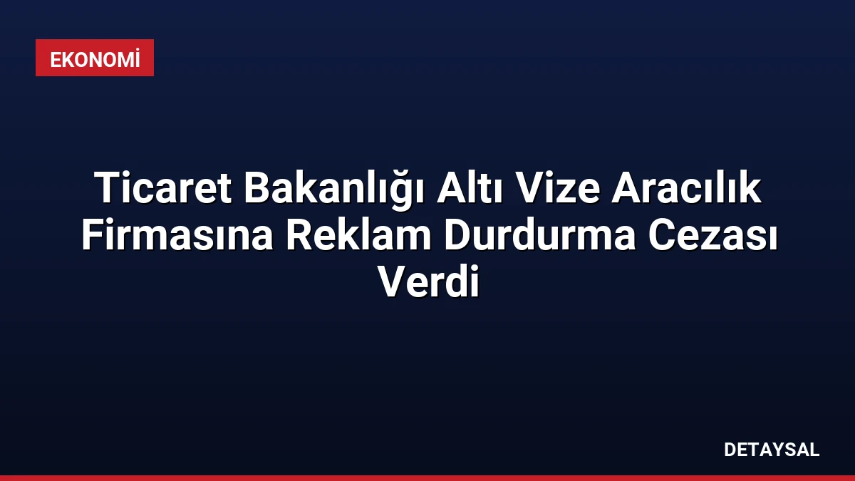 Ticaret Bakanlığı Altı Vize Aracılık Firmasına Reklam Durdurma Cezası Verdi