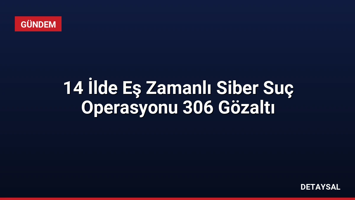 14 İlde Eş Zamanlı Siber Suç Operasyonu 306 Gözaltı