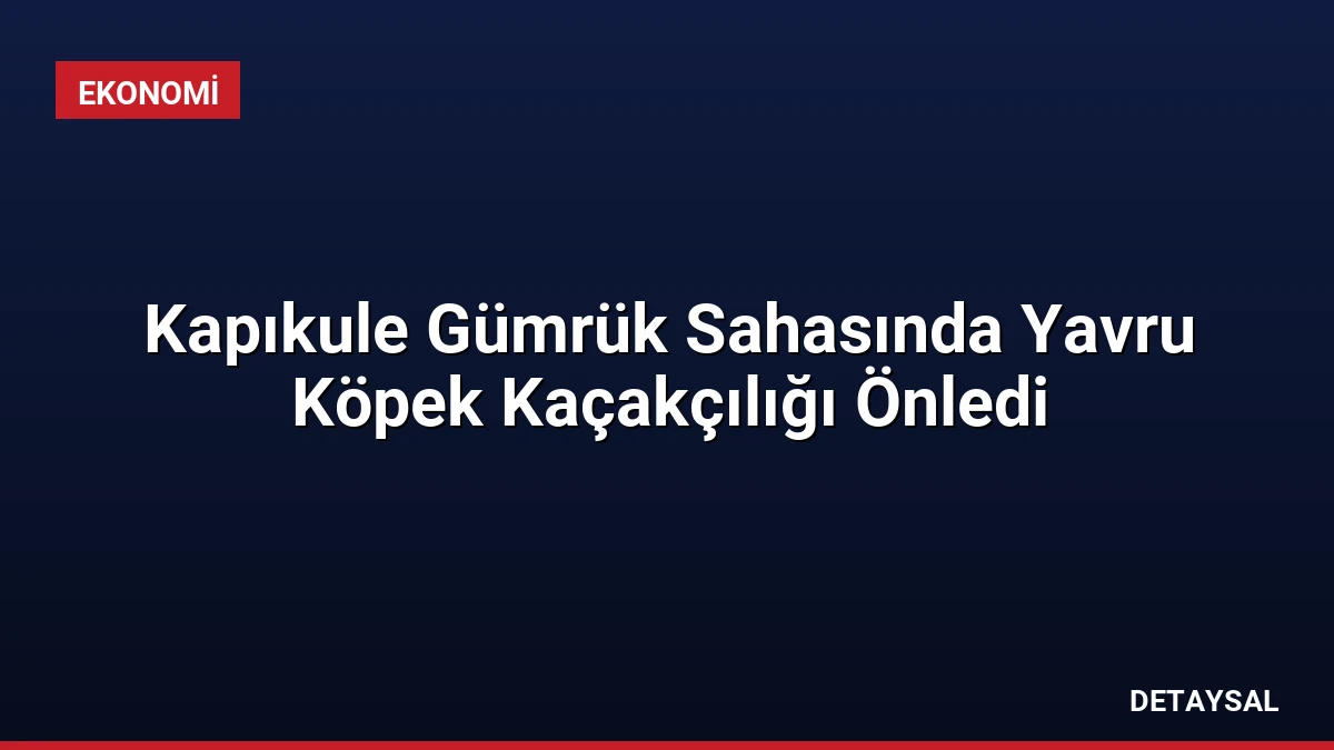 Kapıkule Gümrük Sahasında Yavru Köpek Kaçakçılığı Önledi