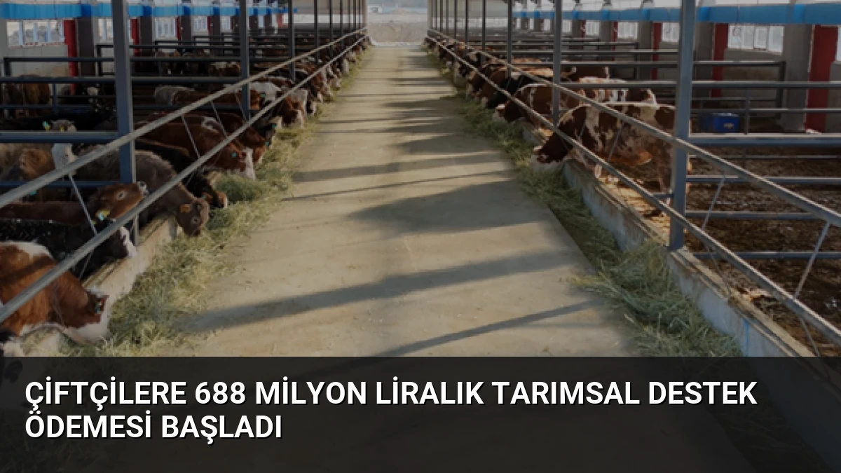 Çiftçilere 688 Milyon Liralık Tarımsal Destek Ödemesi Başladı