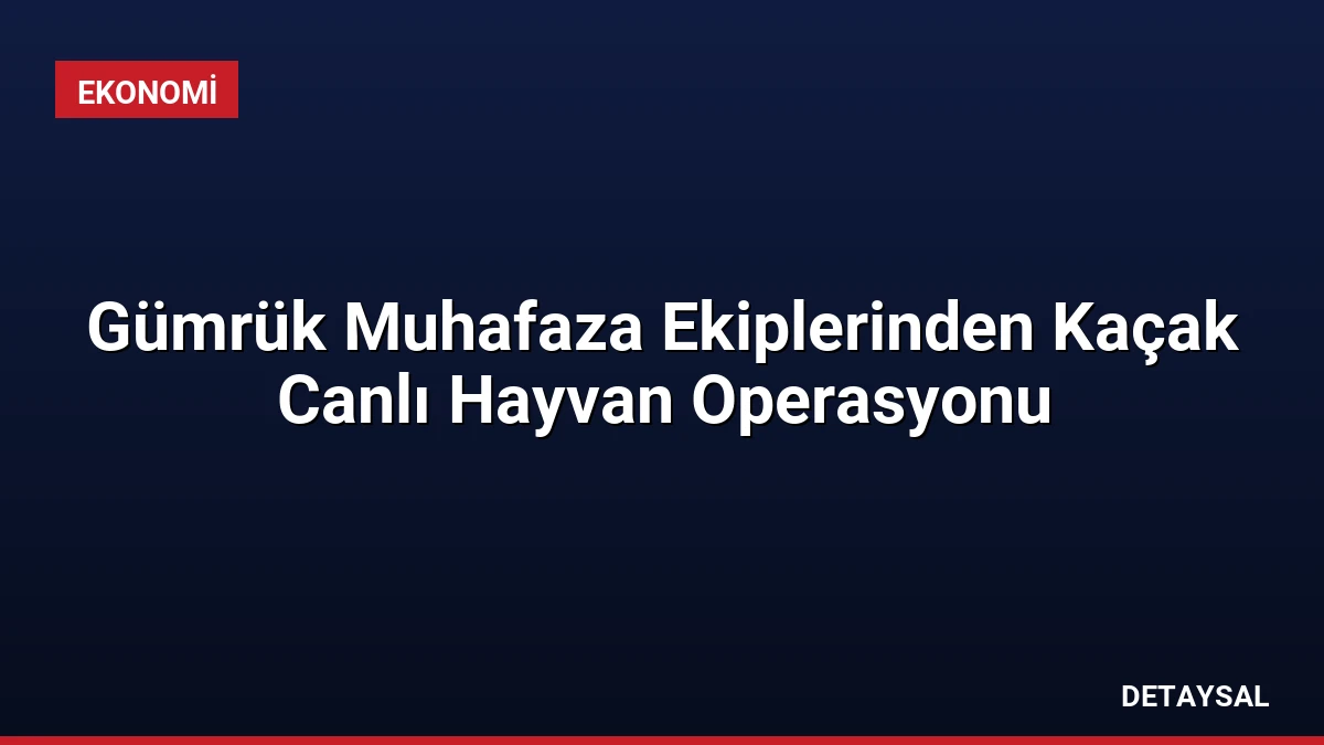 Gümrük Muhafaza Ekiplerinden Kaçak Canlı Hayvan Operasyonu