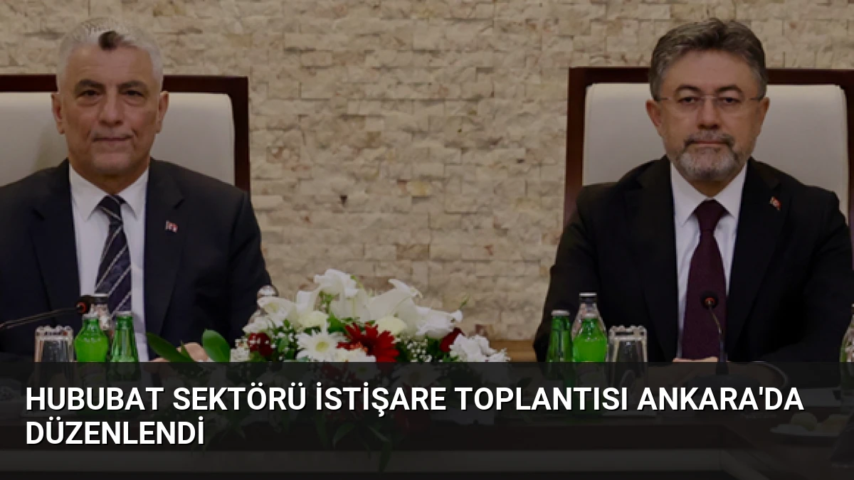 Hububat Sektörü İstişare Toplantısı Ankara’da Düzenlendi
