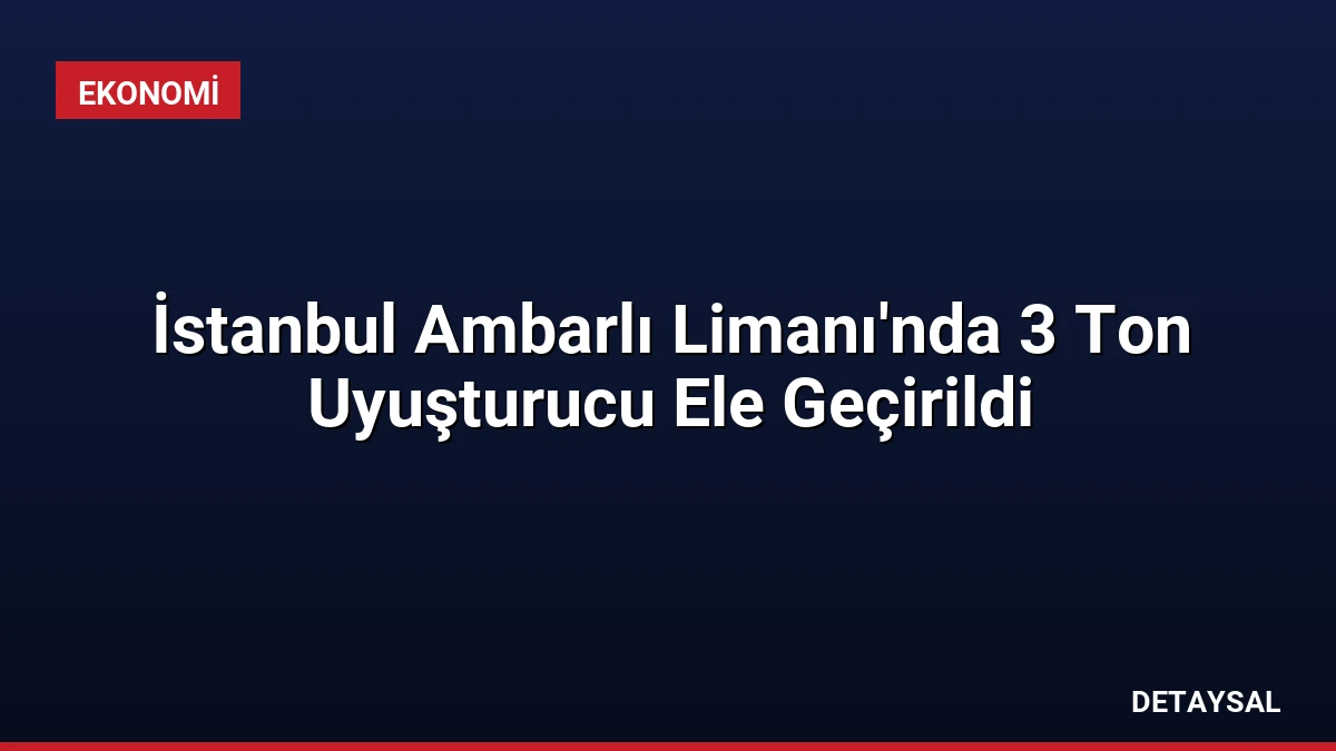 İstanbul Ambarlı Limanı’nda 3 Ton Uyuşturucu Ele Geçirildi