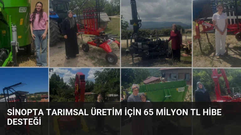 Sinopta Tarımsal Üretim İçin 65 Milyon TL Hibe Desteği