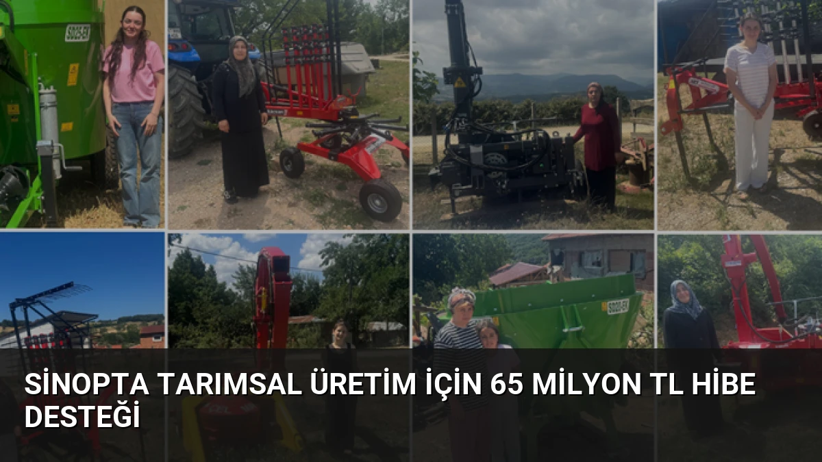 Sinopta Tarımsal Üretim İçin 65 Milyon TL Hibe Desteği