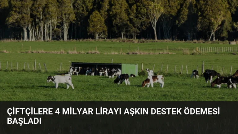 Çiftçilere 4 Milyar Lirayı Aşkın Destek Ödemesi Başladı
