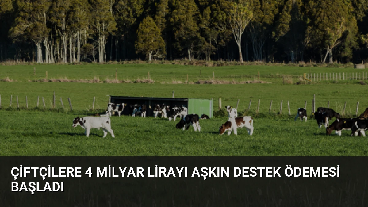 Çiftçilere 4 Milyar Lirayı Aşkın Destek Ödemesi Başladı
