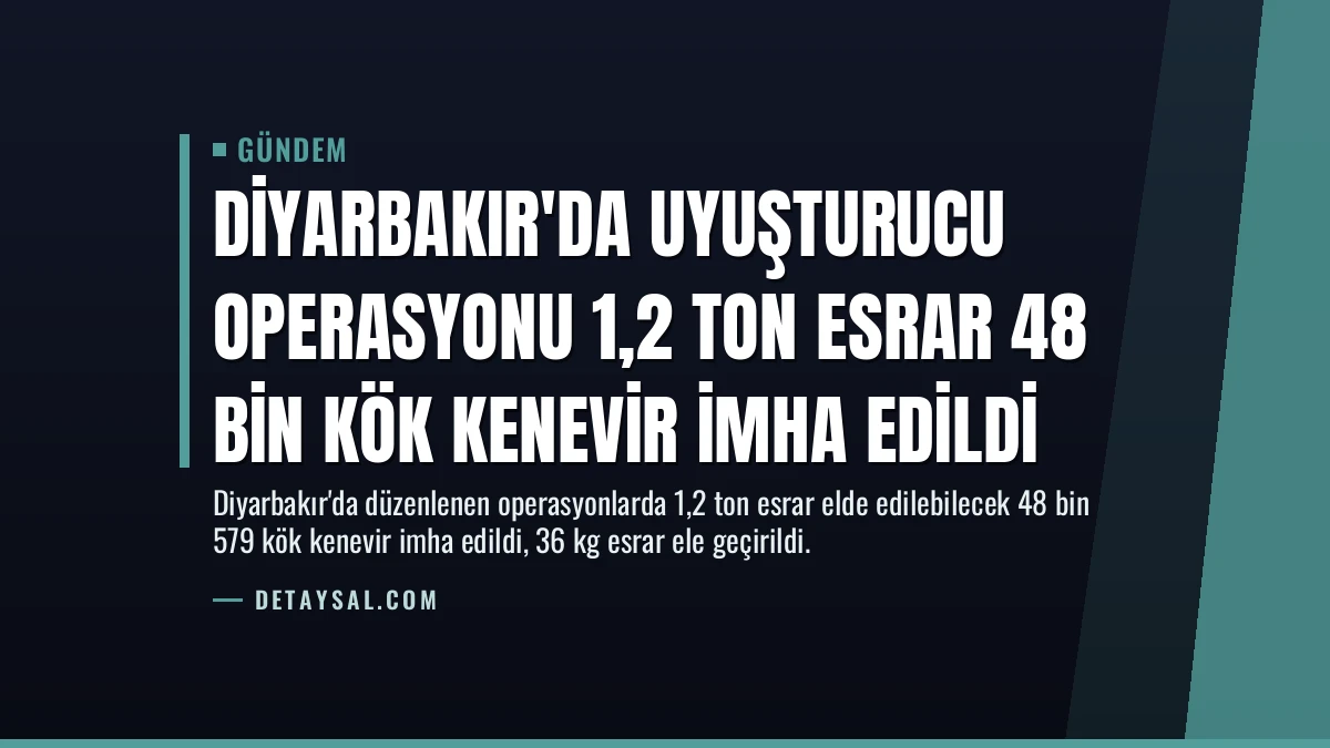 Diyarbakır’da Uyuşturucu Operasyonu 1,2 Ton Esrar 48 Bin Kök Kenevir İmha Edildi