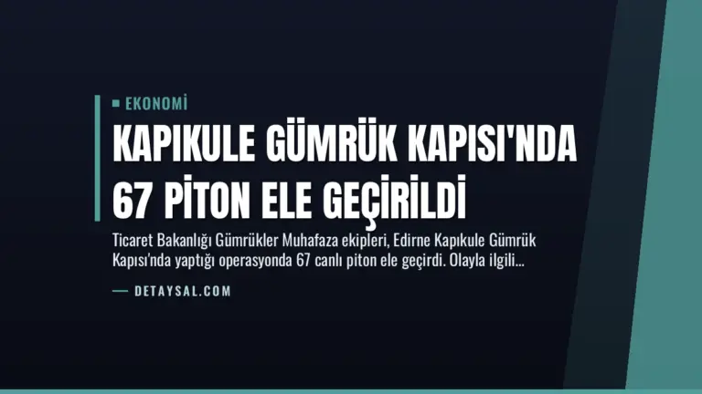 Kapıkule Gümrük Kapısı’nda 67 Piton Ele Geçirildi